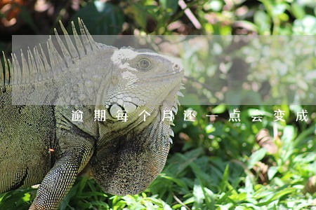 逾期每个月还一点会变成呆账吗 逾期每个月还一点会变成呆账吗