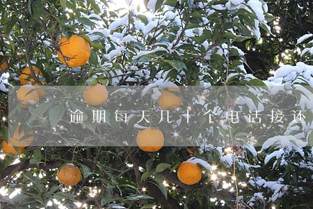 逾期每天几十个电话接还是不接 逾期每天几十个电话接还是不接