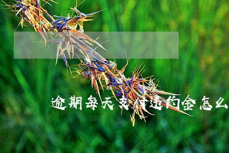 逾期每天支付违约金怎么表述 逾期每天支付违约金怎么表述