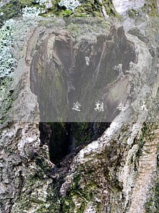 逾期每天收多少费用