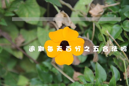 逾期每天百分之五合法吗 逾期每天百分之五合法吗