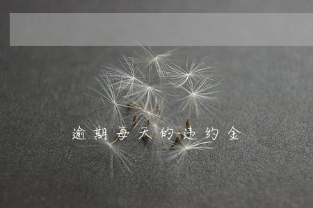 逾期每天的违约金 逾期每天的违约金