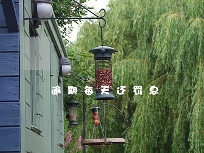 逾期每天还罚息 逾期每天还罚息