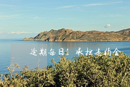 逾期每日1承担违约金 逾期每日1承担违约金