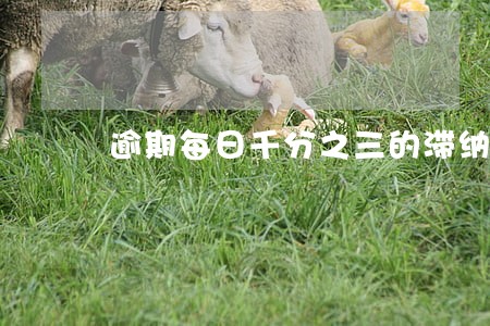 逾期每日千分之三的滞纳金 逾期每日千分之三的滞纳金