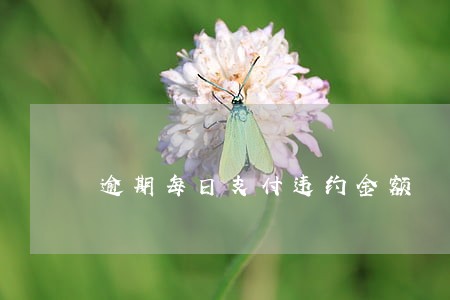 逾期每日支付违约金额 逾期每日支付违约金额