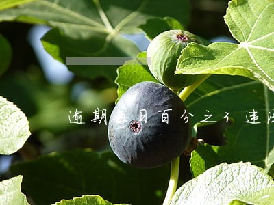 逾期每日百分之3违法吗 逾期每日百分之3违法吗