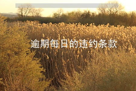 逾期每日的违约条款 逾期每日的违约条款
