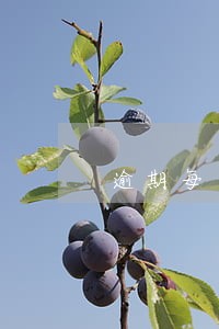 逾期每日计算公式 逾期每日计算公式