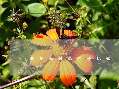 逾期每日违约金标准 逾期每日违约金标准