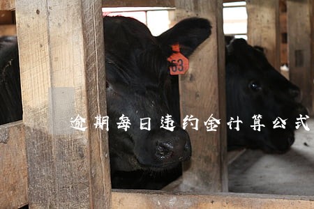逾期每日违约金计算公式 逾期每日违约金计算公式