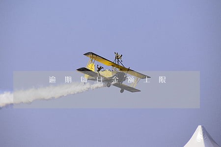 逾期每日金额上限 逾期每日金额上限