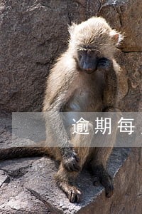 逾期每月有还款不接电话可以吗 逾期每月有还款不接电话可以吗