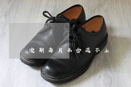逾期每月本金还不上 逾期每月本金还不上