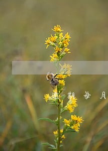 逾期每月都有还款算老赖吗