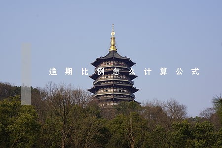 逾期比例怎么计算公式
