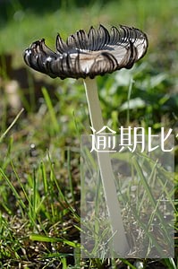 逾期比例计算方式 逾期比例计算方式