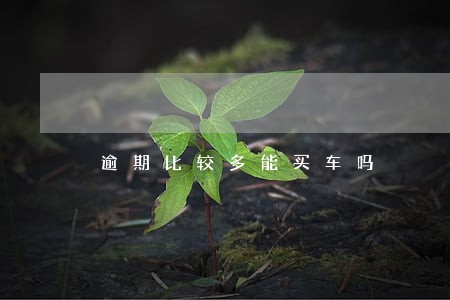 逾期比较多能买车吗 逾期比较多能买车吗