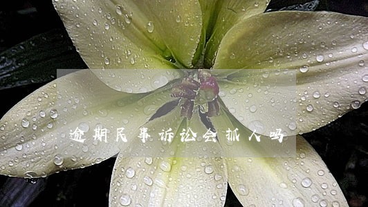 逾期民事诉讼会抓人吗 逾期民事诉讼会抓人吗