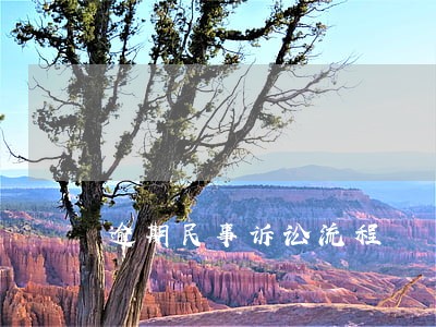 逾期民事诉讼流程 逾期民事诉讼流程
