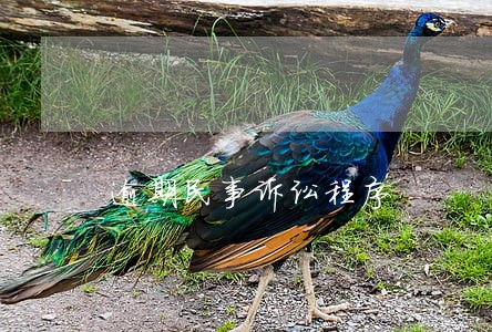 逾期民事诉讼程序 逾期民事诉讼程序