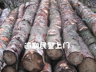 逾期民警上门 逾期民警上门