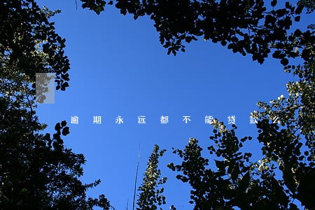 逾期永远都不能贷款么 逾期永远都不能贷款么