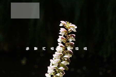 逾期汇报给单位吗 逾期汇报给单位吗