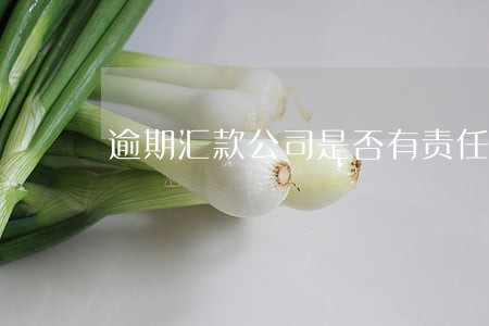 逾期汇款公司是否有责任 逾期汇款公司是否有责任
