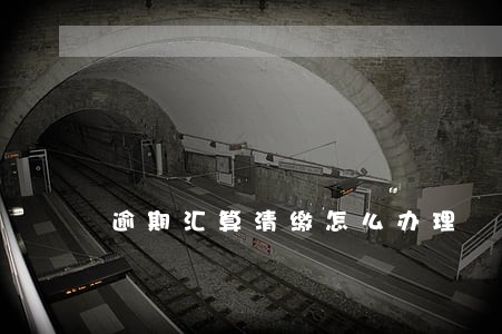 逾期汇算清缴怎么办理 逾期汇算清缴怎么办理