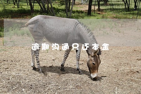 逾期沟通只还本金 逾期沟通只还本金