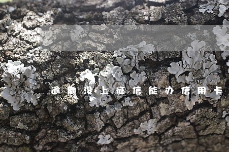 逾期没上征信能办信用卡吗 逾期没上征信能办信用卡吗