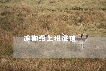 逾期没上报征信 逾期没上报征信