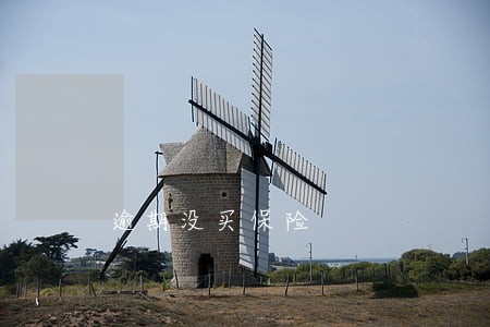 逾期没买保险 逾期没买保险