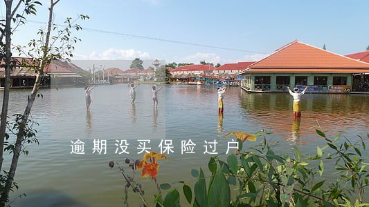逾期没买保险过户 逾期没买保险过户