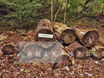 逾期没买车险怎么处罚 逾期没买车险怎么处罚