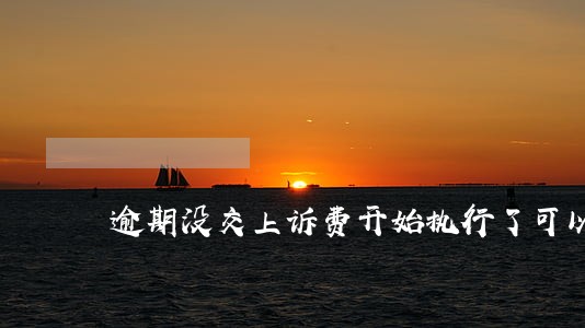 逾期没交上诉费开始执行了可以吗 逾期没交上诉费开始执行了可以吗