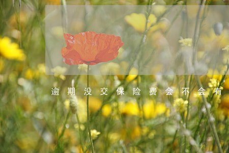 逾期没交保险费会不会有手续费 逾期没交保险费会不会有手续费
