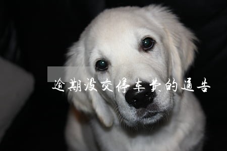 逾期没交停车费的通告 逾期没交停车费的通告