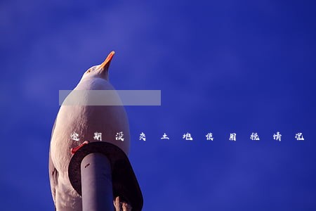 逾期没交土地使用税情况说明 逾期没交土地使用税情况说明