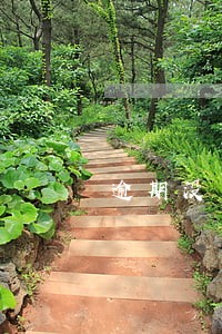 逾期没交房申请退房银行贷款 逾期没交房申请退房银行贷款
