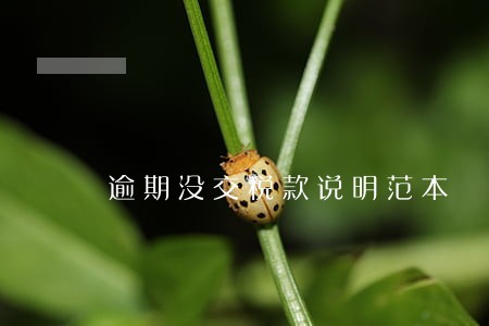 逾期没交税款说明范本 逾期没交税款说明范本