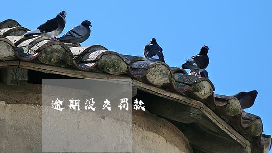 逾期没交罚款 逾期没交罚款