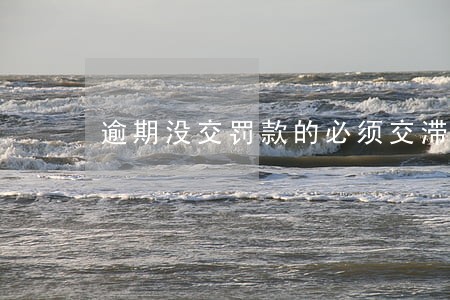 逾期没交罚款的必须交滞纳金吗 逾期没交罚款的必须交滞纳金吗