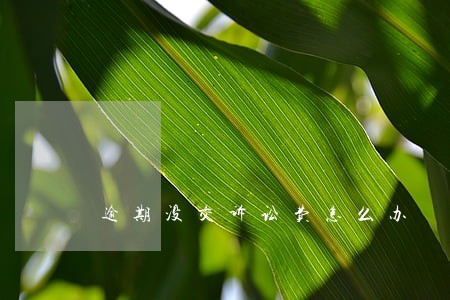 逾期没交诉讼费怎么办 逾期没交诉讼费怎么办