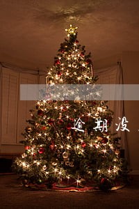 逾期没几天就被代偿债务
