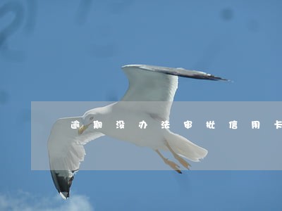 逾期没办法审批信用卡