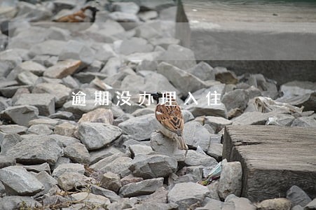 逾期没办理入住 逾期没办理入住