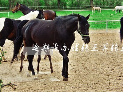 逾期没办理转正算转正吗 逾期没办理转正算转正吗