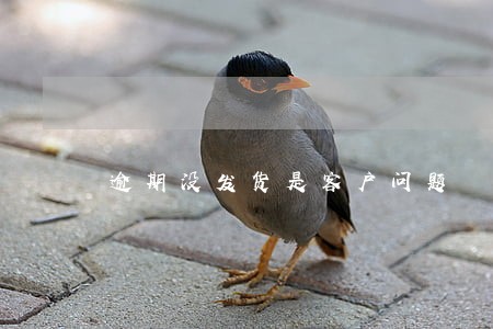 逾期没发货是客户问题 逾期没发货是客户问题